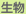 生物