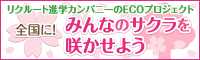 ECOプロジェクト