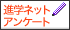 �i�w�l�b�g�A���P�[�g