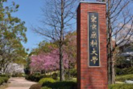 東京薬科大学 緑豊かな広大なキャンパスは春には桜、秋には紅葉と、四季折々を感じながら学べます