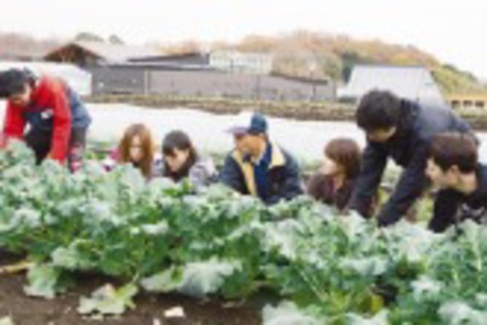 明治大学 生田キャンパスにほど近い黒川農場では、9割以上の学生が「農場実習」を体験します。