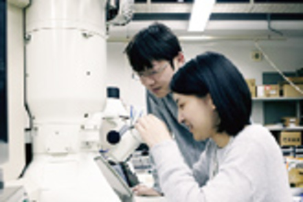 高知工科大学 走査型電子顕微鏡(SEM)や透過型電子顕微鏡(TEM)などをはじめ、さまざまな先端装置・設備が研究を強力サポート