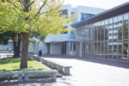 明治学院大学 留学生の多い横浜キャンパスは国際色豊かです。国際学部生は4年間横浜キャンパスで過ごします