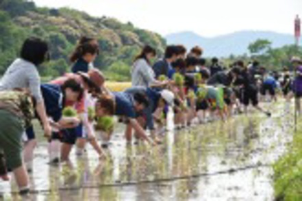 龍谷大学 4学科全ての学生が体験する農業実習。食や農に携わる喜びや感謝の気持ちを養い、「食の循環」の大切さを学ぶ