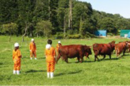 北里大学 自然や人との交流を通して豊かな人間性を育む「北海道八雲牧場実習」