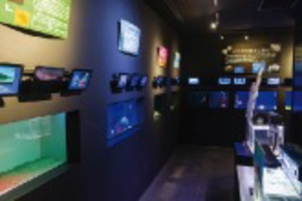 北里大学 水族館や博物館のスタッフを目指す有志学生によるミニ水族館「北里アクアリウムラボ」