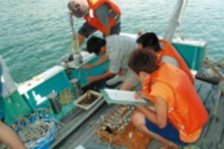 甲南大学 自然の成り立ちや生命活動を総合的に学ぶための生物学臨海実習。