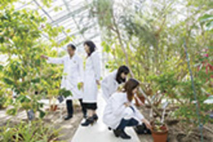 松山大学 総面積1806平方メートルの薬用植物園。生きた教材として、生薬学や漢方学の研究にも使われる
