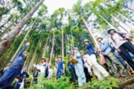 東京農業大学 奥多摩演習林での実習。実習や室内実験を通して、森について総合的に学びます