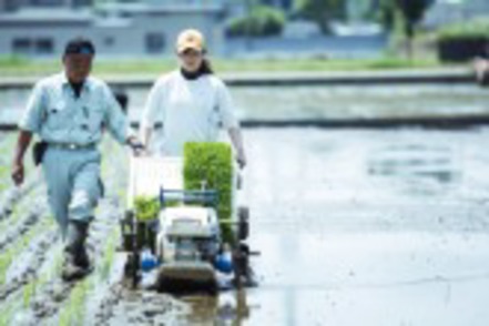 東京農業大学 農作業の特性や栽培技術を学ぶための実験・実習・演習に取り組む機会が多いカリキュラム