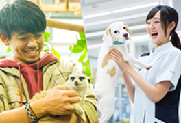 北海道エコ・動物自然専門学校