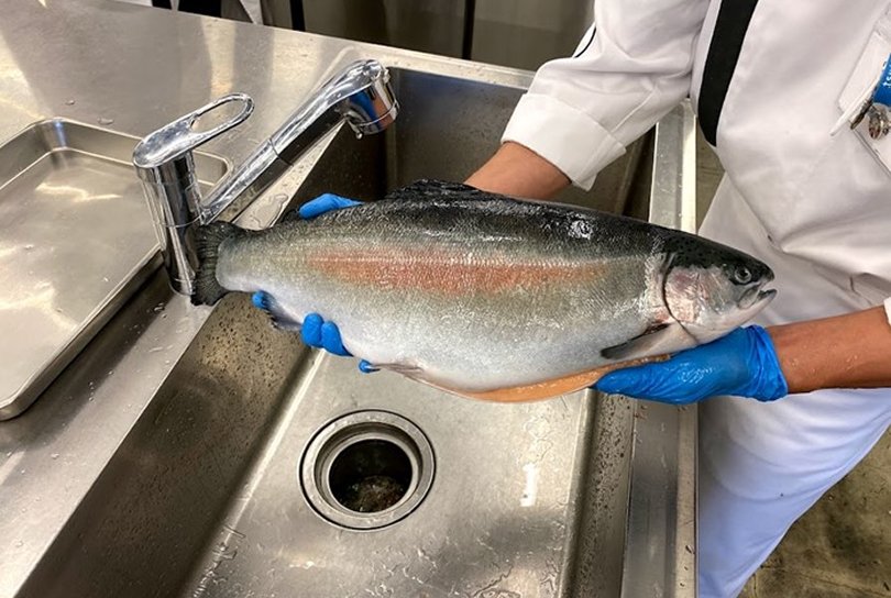 食を通じて持続可能な社会の達成に貢献する有志学生団体