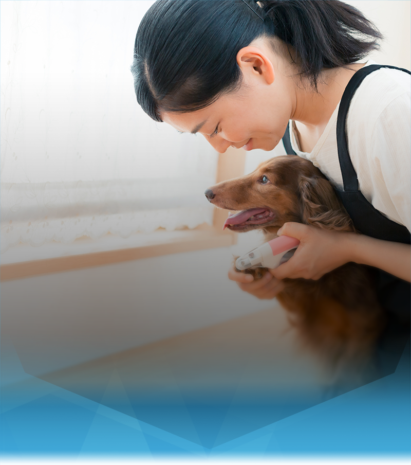 ドッグトレーナーの楽しいことと大変なこと スタディサプリ 進路