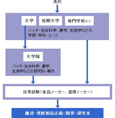 醸造 発酵製品企画 開発 研究者になるには 大学 専門学校の スタディサプリ 進路