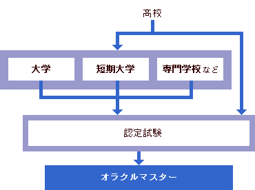 オラクルマスター 大学 専門学校の スタディサプリ 進路