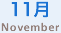 11 November