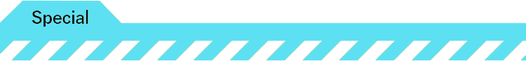 資料請求キャンペーンエリア