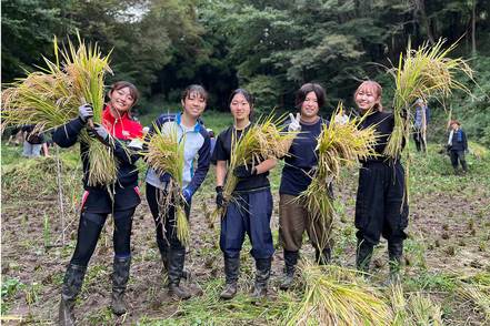東海大学 教養学部では、学外での演習や活動が行われています。大学の近くの棚田で行った無農薬・無化学肥料での稲作実習