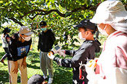 茨城大学 キャンパスに隣接した広い農場が特徴。写真は果樹園での農業実習の様子。