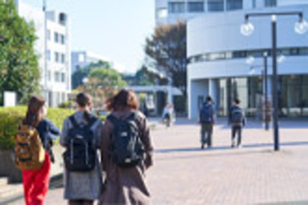 明治学院大学 情報数理学部生は、緑豊かで広々とした横浜キャンパスで4年間を過ごします