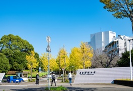 東京情報大学