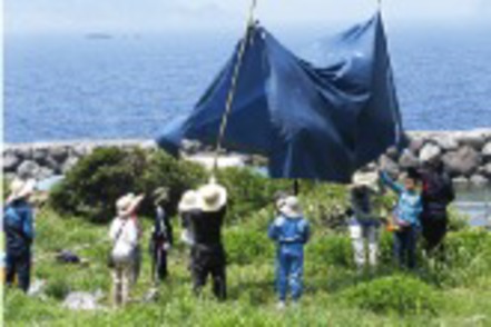 青山学院大学 「地域実習2」（無人島体験）子どもたちの成長、「生きる力」を養成するための体験的実習。