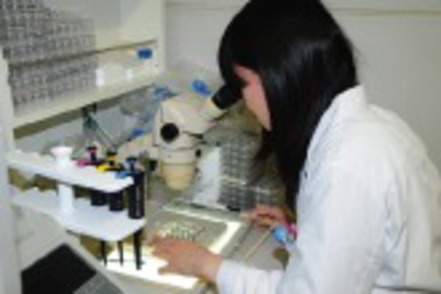 昭和薬科大学 先端研究に取り組む専門研究室が若手研究者を育成。医療機関のほか製薬企業、公務員などの進路も。