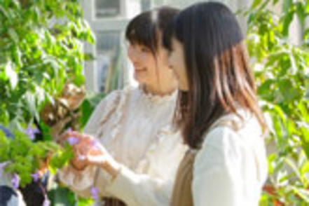 横浜薬科大学 自然と調和したキャンパスには講義棟や研究実習棟、薬用植物を育てる薬草園も。図書館棟21階の展望ラウンジの眺望は抜群！