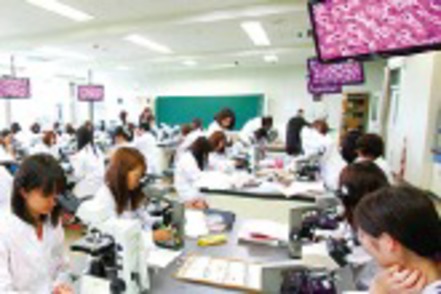 神戸学院大学 病理学の実習では組織検査や標本の制作、染色組織標本の観察スケッチなどを実施