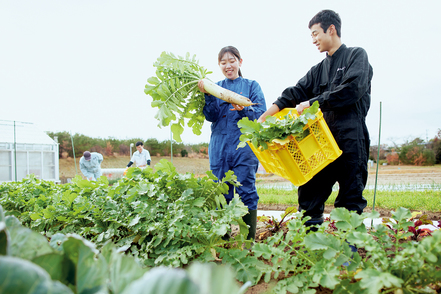 新潟食料農業大学 【アグリコース】人と環境にやさしく、安全でおいしい作物を「つくる」