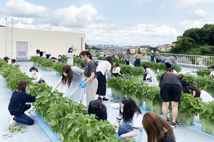 東京家政学院大学 キャンパス内の畑で様々な野菜の栽培・収穫を通して、生産プロセスおよび食循環について学びます
