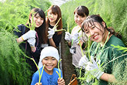 同志社女子大学 北海道・富良野でのインターンシップ。農作業などを通して地域づくりを学ぶ