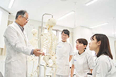 宝塚医療大学 理学療法士、作業療法士、看護師の土台を作る「解剖学」「生理学」を学ぶことで、人体の正常な構造と機能を理解します