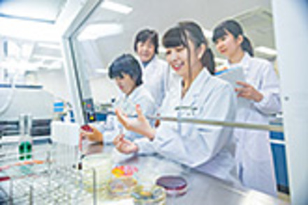 東京聖栄大学 食品学科では、食品の加工・調理、開発、流通、安全管理等で活躍できる知識・技術を兼ね備えた食の専門家を養成します