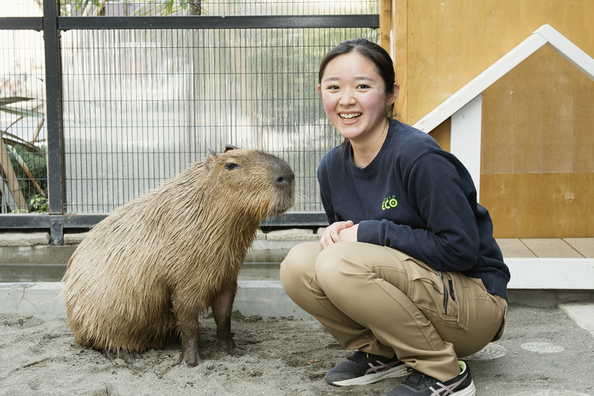 専修学校 専門学校 ストア 東京都 東京コミュニケーションアート専門学校 ペット 動物 動物園 海洋 水族館 自然環境