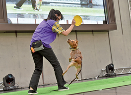 栃木県の動物・植物を目指せる学校一覧【スタディサプリ 進路】