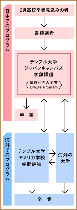 留学までのプロセス