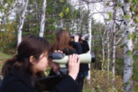 東海大学 札幌キャンパスの森で野鳥観察。北の動植物が生息する自然あふれる環境です。