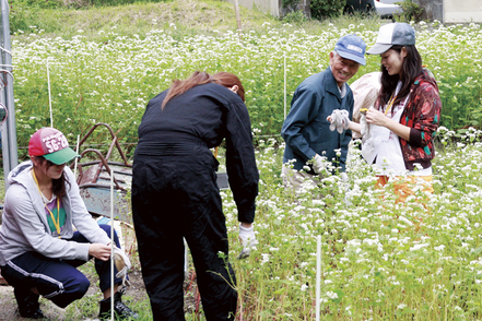 北九州市立大学 履修コースを導入しています。地域活性化を学ぶ「地域創生コース」、社会福祉士<国>などの資格取得を目指す「地域福祉コース」。