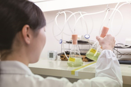 福岡女子大学 専門的な知識・技術と総合的な視点を両輪にこれからの地球を持続可能な未来へ導く