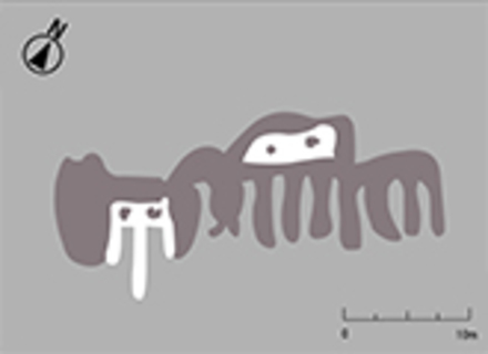 山形大学の特長１