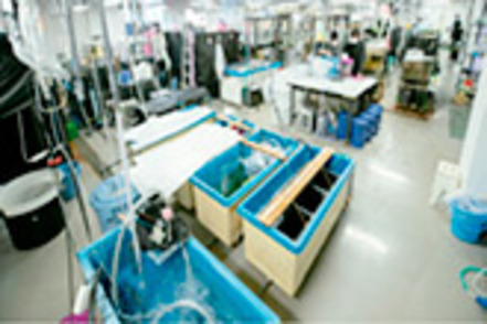 北里大学 屋内水槽室:内陸のキャンパスにも関わらず、巨大な海水タンクを設置し、海産生物をはじめとして、様々な生物を飼育できます