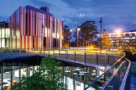 南山大学 現地の法文化を学ぶことができる短期留学プログラム「海外法文化研修」。