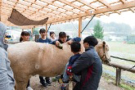 帝京科学大学 動物を介在する作業療法を体験しながら学ぶ