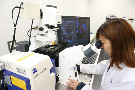 崇城大学 共焦点レーザー顕微鏡を使用して微生物や動物細胞、植物細胞の遺伝子レベルでの研究ができます