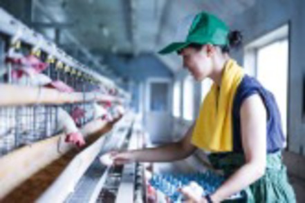 東京農業大学 動物を育み、生きる仕組みを解き明かすことで「新しい農学」を知り、人の暮らしに役立てます。（動物科学科）