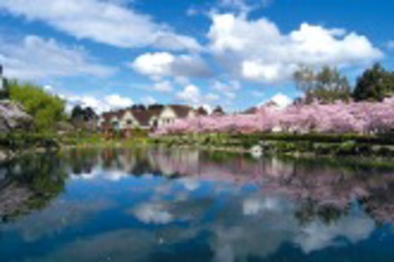 ＩＰＵ・環太平洋大学 IPU New Zealandで安心安全の留学環境を用意。留学を通してコミュニケーション能力と国際感覚を養う