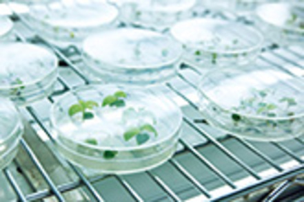 神奈川大学 1学科体制により教員免許が取得しやすくなった。各コースが密に教育を行い、教職教育が充実