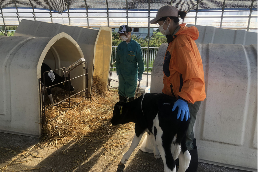 キャンパスライフPhoto