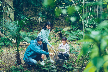 神戸女学院大学 1140種以上が生息する都会の森のキャンパスで、環境や生物多様性を研究しよう。教室から徒歩1分でフィールドワークが可能!